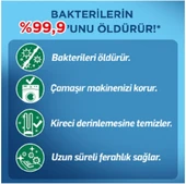 LYSOL ANTİBAKTERİYEL ÇAMAŞIR MAKİNESİ TEMİZLEYİCİ ÇAM VE OKALİPTUS FERAHLIĞI 250 ML - 4