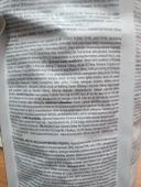 N & D Ancestral Grain Kuzu, K.buğday, Yulaf & Yabanmersini Orta ve Iri Irk Yetişkin Köpek Maması 12 kg - 2