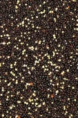 Siyah Darı Sade Tozsuz Doğal Taze Kuş Yemi - 500 gr - 3