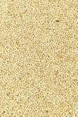 Ak Darı Sade Tozsuz Doğal Taze Kuş Yemi - 500 gr - 3