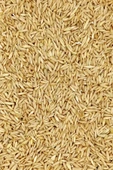 Tüm Kuşlar İçin Doğal Taze Soyulmuş İç Yulaf - 1 kg - 3