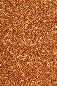 Kırmızı Darı Sade Tozsuz Doğal Taze Kuş Yemi - 5 kg - 3