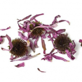 LABORATUVARAKTAR Ekinezya Çiçeği 1.Kalite 25 gr  Doğal Organik Saf Tıbbi ve Aromatik Bitki Echinacea - 1