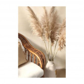 PAMPAS 10 Adet - 2
