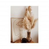 PAMPAS 10 Adet - 4