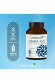 Cerebrovita Cogni Focus Tablet - 5