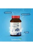 Cerebrovita Cogni Focus Gummy - 2