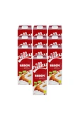 NİLKY Badem Sütü Glütensiz Bitkisel Bazlı Laktosuz Vegan 10x1 Lt thumbnail 1