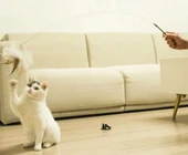 DİYARI FIRSAT Vantuzlu Tüylü Zilli Kedi Oyun Oltası - 5