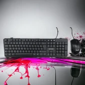 RAYNOX RX-KM101 USB Q KABLOLU KLAVYE&MOUSE SET thumbnail 1