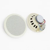 Dexun D-20T 100 Volt 20 CM Trafolu Alçıpan Hoparlör - 1