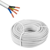 Powermaster 4X0.75 CCA TTR Kablo (100 Metre) (Seri 2) - 1