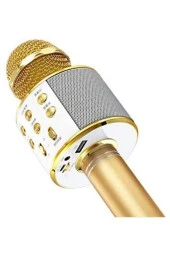 Karaoke Mikrofon Bluetooth Hoparlör Aux Usb Mikro Sd Kart Girişli Gold Wster Ws-858 - 1