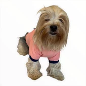 Light Pink Flower Pocket Kapşonlu Sweat by Kemique Köpek Kazağı - 3