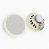 Dexun D-20T 100 Volt 20 CM Trafolu Alçıpan Hoparlör - 1