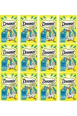 Dreamies Mix Somon Balıklı Ve Peynirli Kedi Ödülü 60 gr (12 ADET) - 1