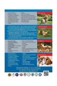 Bioxi Animal Health 150 Ml. Skt: 06/2027 thumbnail 3