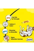 Dreamies Ördekli Kedi Ödül Maması 24x60gr - 3
