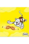 Dreamies Ördekli Kedi Ödül Maması 24x60gr - 2