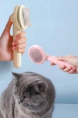 İronika Tuşlu Otomatik Temizlenen Kedi Köpek Tüy Toplayıcı Tarak Evcil Hayvan Fırçası Tarağı - 1