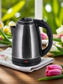 Girist Burgaz Gümüş Renk Çlik Kettle 1800 W - 1