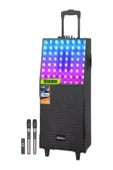 ULTRATEKNO NDR-H12 60 WATT Karaoke Ses Sistemi RGB Işıklı Çift Mikrofonlu Kumandalı DJ Bluetooth Hoparlör - 1