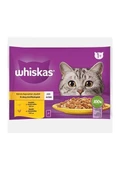 Whiskas Tavuklu ve Hindili Yetişkin Kedi Yaş Maması 4X85 gr (13 Paket,52 Adet Tekli) - 2