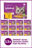 Whiskas Tavuklu ve Hindili Yetişkin Kedi Yaş Maması 4X85 gr (13 Paket,52 Adet Tekli) - 1