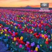 Panasonic Yayın 4K Blu Ray Oynatıcı DP-UB420-K - 10