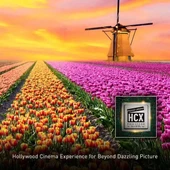 Panasonic Yayın 4K Blu Ray Oynatıcı DP-UB420-K - 6