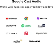 WiiM Pro AirPlay 2 - WiFi Çok Odalı Yayıncı Chromecast thumbnail 5