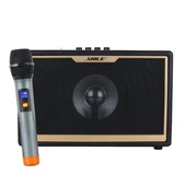 Shile SD-1 El Mikrofonlu Kumandalı USB/SD/BT Portatif Hoparlör - 1