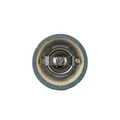 Peugeot Bistrorama Koyu Gri Tuz Değirmeni 10cm - 2