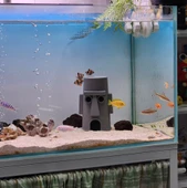 Squidward Balık Yuvası Akvaryum Aksesuarı  Sünger Bob Temalı Balık Evi thumbnail 3