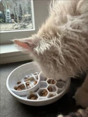 Kedi ve Köpekler İçin Yavaş Mama Kabı Eğlenceli Zeka Oyunu Tabak Slow Feeder Mama Kasesi - 3