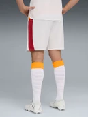 Galatasaray S.k. Shorts 25/26 İç Saha Parçalı Şort Erkek Futbol Şortu thumbnail 8
