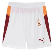 Galatasaray S.k. Shorts 25/26 İç Saha Parçalı Şort Erkek Futbol Şortu thumbnail 11