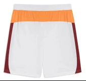 Galatasaray S.k. Shorts 25/26 İç Saha Parçalı Şort Erkek Futbol Şortu thumbnail 12