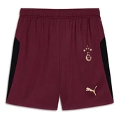 Galatasaray S.k. Shorts 25/26 İç Saha Parçalı Şort Erkek Futbol Şortu thumbnail 3