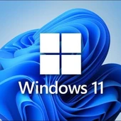 Microsoft Windows 11 Pro OEM Lisans Key thumbnail 1