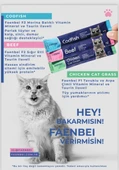 Ödül Kreması Kedi Faenbei 60 adet - 1