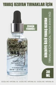 Motto Plus Professional Yavaş Uzayan Tırnaklar İçin Biberiye Özlü Doğal Tırnak Bakım Yağı 30ml - 1