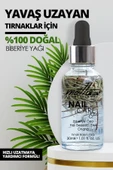 Motto Plus Professional Yavaş Uzayan Tırnaklar İçin Biberiye Özlü Doğal Tırnak Bakım Yağı 30ml - 2