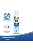 Raid Pure Sineklere Karşı Etkili Sprey 300 ml - 1