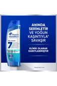 Head&Shoulders Head & Shoulders Pro-expert 7 Nane Ve Mentol Ile Yoğun Kaşıntı Karşıtı Şampuan 300 ml - 6