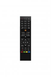 REGAL Rc39105 Led Tv Kumandası - 1