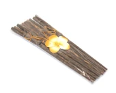 Sushi Çubuğu No:1 - 1