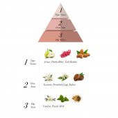 Prova Black Option EDP Kadın Parfüm 120 ml - 2