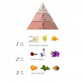 Sabotage Secret EDT Kadın Parfüm 100 ml - 2