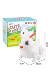 admay Rabbit pilli Işıklı müzikli hareketli oyuncak - 4